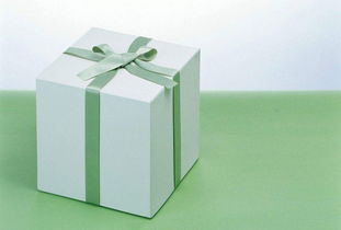 神秘的生日禮物 范雅清