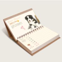  邯鄲市馬頭生態(tài)工業(yè)城藝人工藝品廠 主營 絹人 商務(wù)禮品 工藝禮