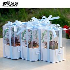 伴手禮 情感與文化的精致傳遞